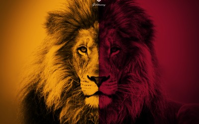 华体会动态-佩德里已成巴萨灵魂人物