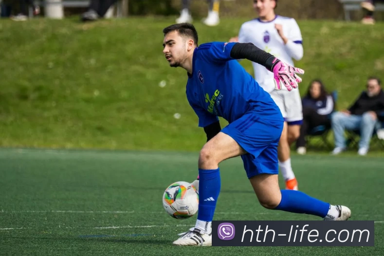 华体会hth平台生态图