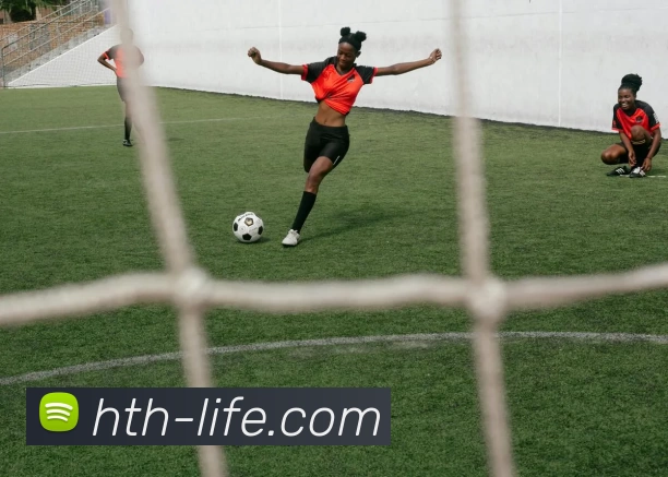 华体会hth全站App